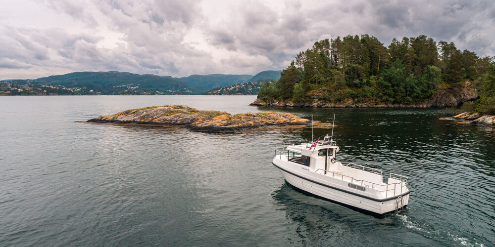 viknes-8-0177-scaled