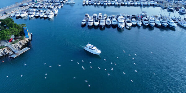 003-saga-390-ht-1024x576