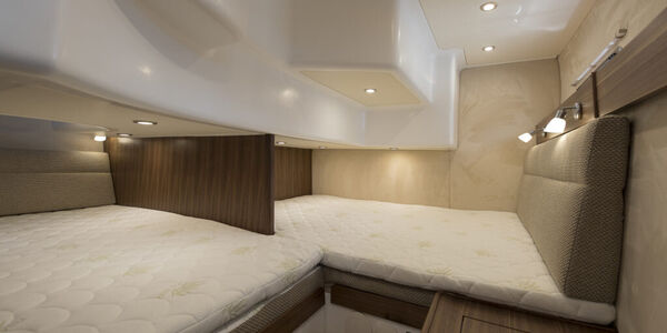 saga-385-ab7i3196-1024x683